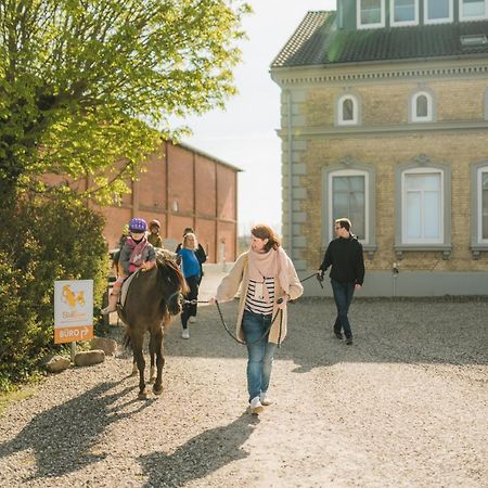 فيهمارن Buedlfarm - Der Familien-Erlebnishof In Strandnaehe المظهر الخارجي الصورة